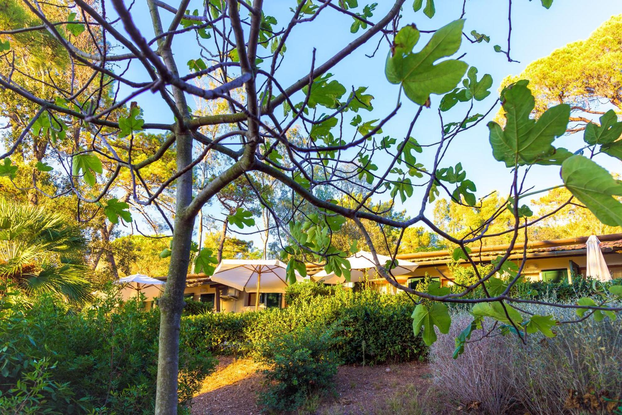 פורטופראיו Hotel Villa Ottone מראה חיצוני תמונה